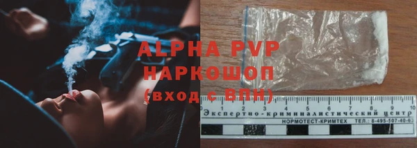 сатива Белокуриха