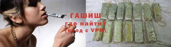 сатива Белокуриха