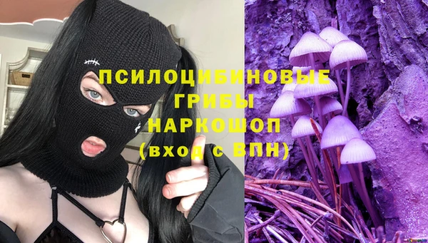 сатива Белокуриха
