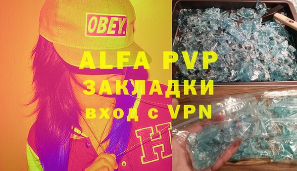 сатива Белокуриха